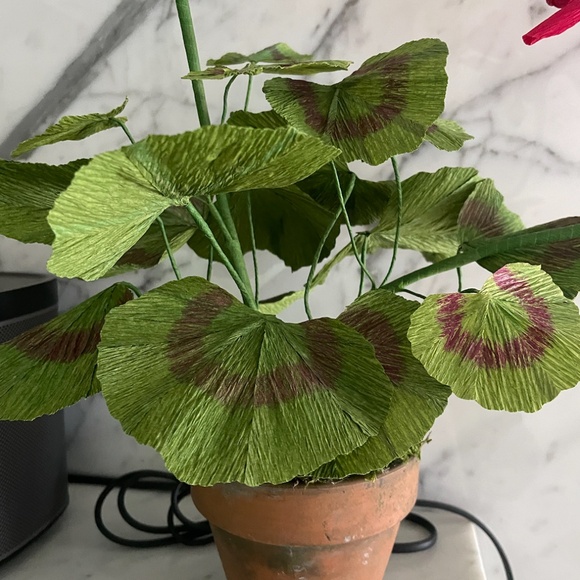 Paper Geranium in Crimson - Picture 4 of 4
